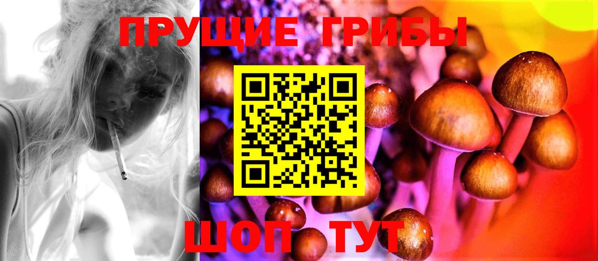 Псилоцибиновые грибы Psilocybe Верхняя Салда